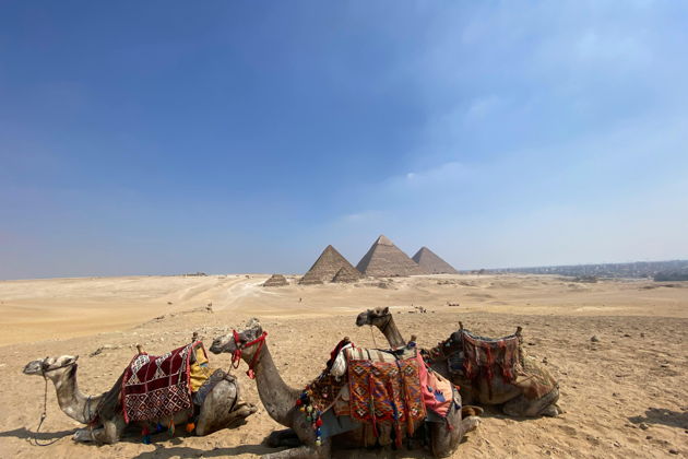 Прогулка на верблюдах у пирамид на закате и египетский ужин