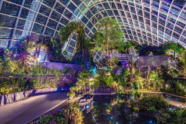 Сады Сингапура: Цветочный купол и Заоблачный лес