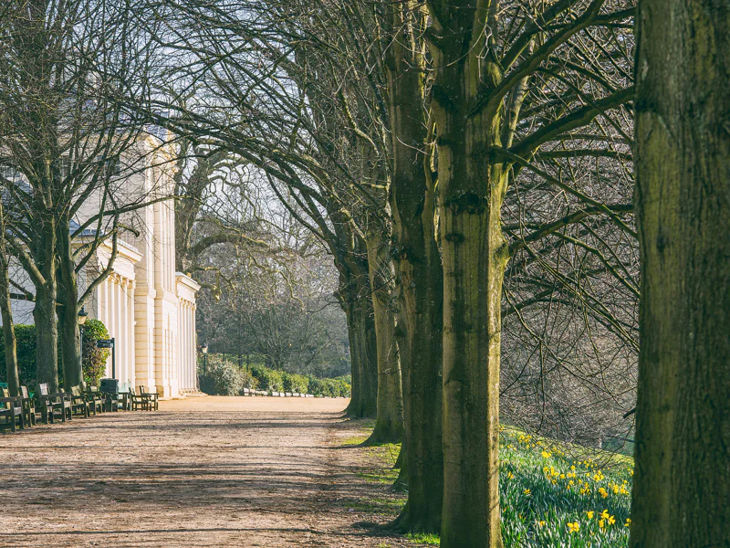 Лондонская усадьба в районе Хемпстед - Kenwood House — фото 7, Лондон | Покатаем