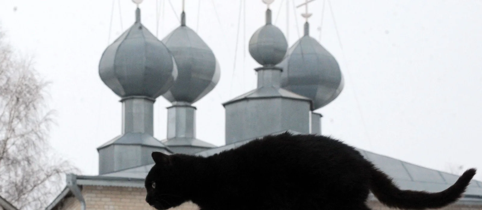 Леденящие кровь мифы, легенды  и трагедии старинной Москвы — экскурсия, Москва, Россия | Покатаем