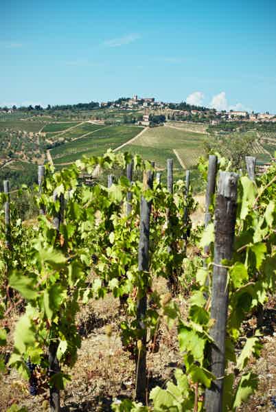 Florence: Wine Roads, Chianti Villages and San Gimignano - photo 4