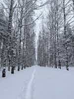 Экскурсия "Шереметевский замок и озеро Светлояр" - фото отзыва 2