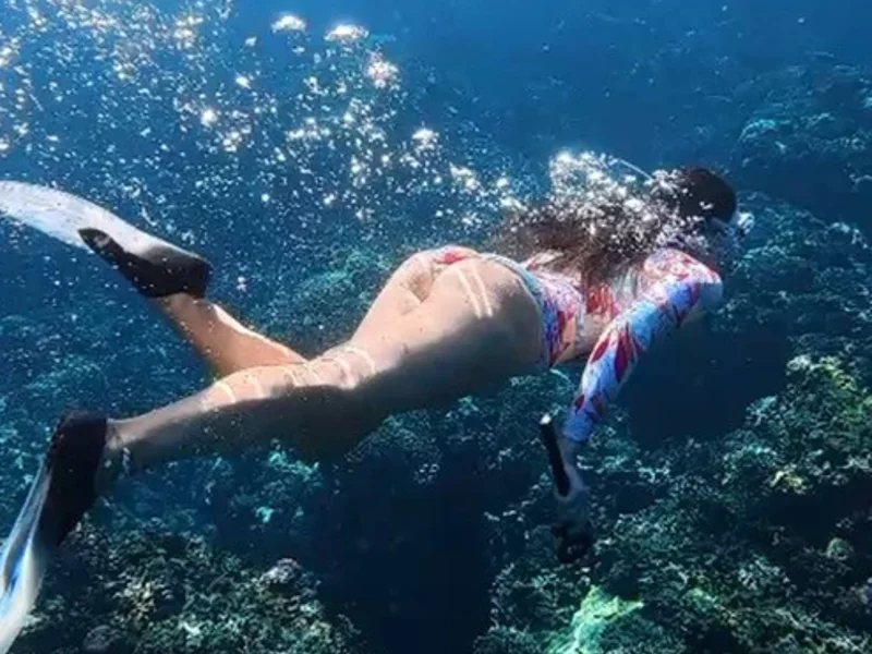 Морское сафари на Маврикии: дельфины и снорклинг — фото 5, Порт-Луи | Покатаем