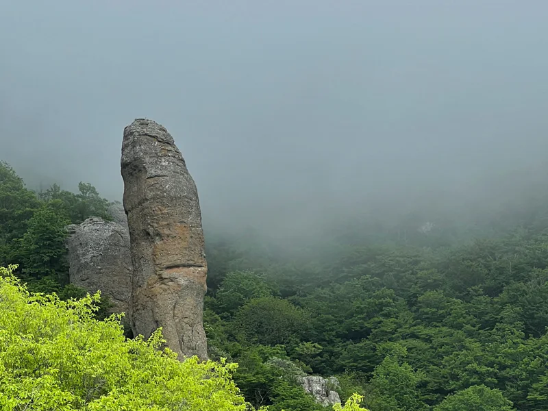 Тропами Крыма: хайкинг для всех (из Алупки) — фото 6, Алупка | Покатаем