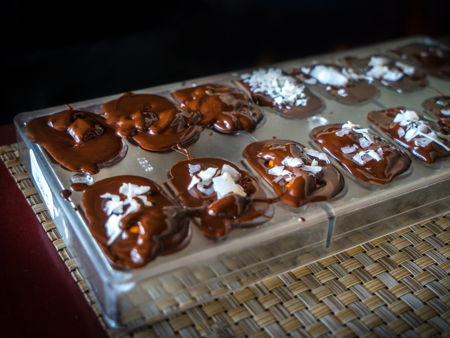 Шоколадная фабрика Чарли