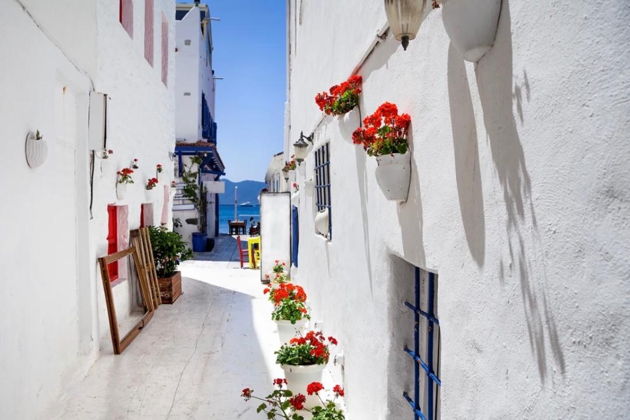 Индивидуальная пешеходная экскурсия в Бодрум максимум впечатлений за 5 ч