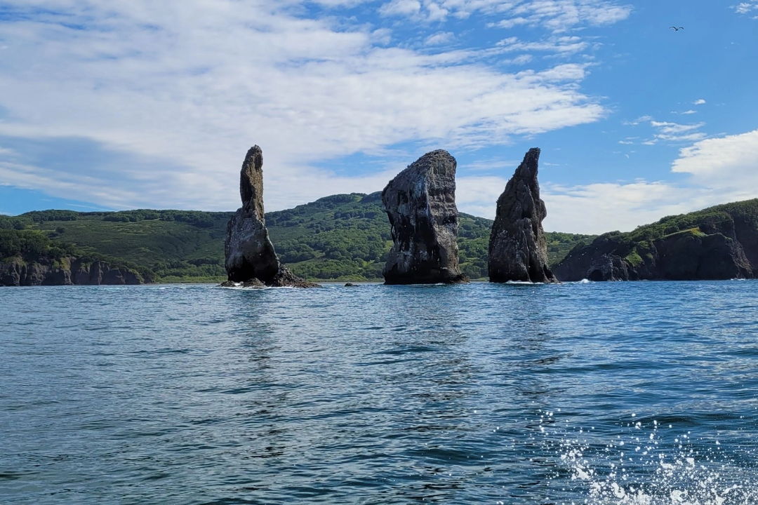 Морская прогулка к острову Старичков: морская рыбалка и крабовое сафари — фото 3