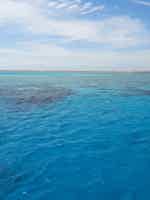 Экскурсия "Морская прогулка с выбором пляжа: Райский, Оранжевый острова, Хула-Хула др." - фото отзыва 1
