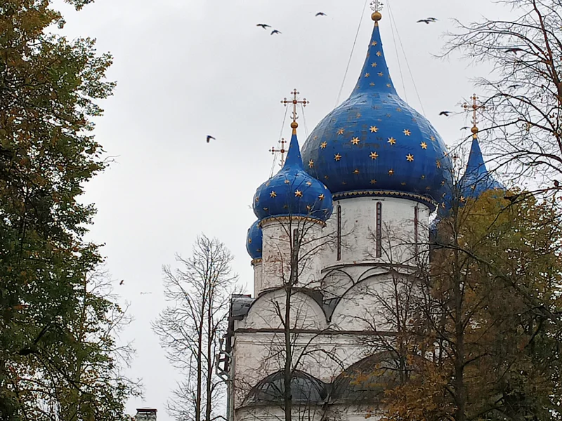 Суздаль и Кидекша — два города за один день (на вашем транспорте) — фото 5, Суздаль | Покатаем