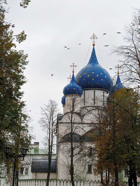 Суздаль и Кидекша — два города за один день (на вашем транспорте) - фото 4