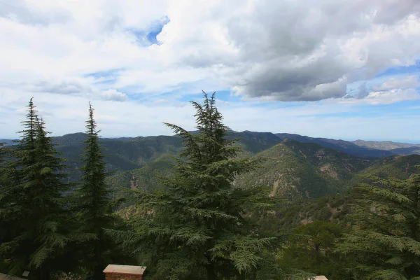 Day Trip to Troodos Mountains, Kykkos Monastery and Omodos — photo 2, Paphos | Pokataem