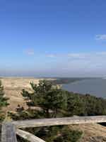 Экскурсия "Путешествие к белым дюнам и синему морю: Куршская коса" - фото отзыва 3