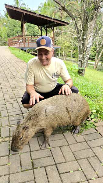 Север острова Себу - сафари-парк и горячие источники  - фото 2