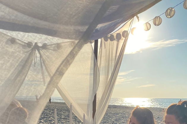 Виды Дизайнерские пикники