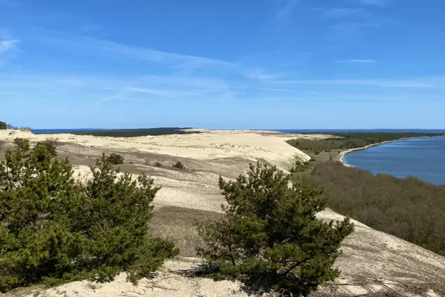 Тропы, пляжи и поселки Куршской косы и Зеленоградск в минигруппе — фото 2
