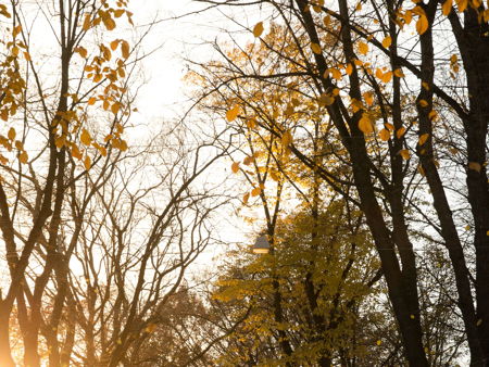 Конногвардейский бульвар