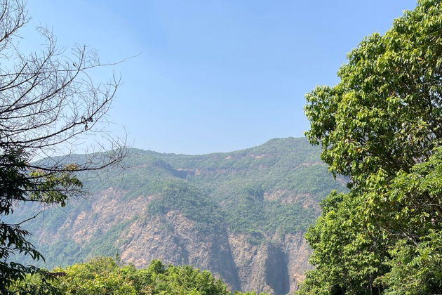 «Дикое гнездо»: отдых в эко-коттеджа в горах