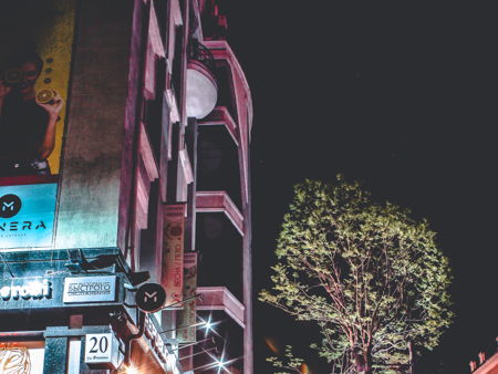 Озеро лотосов