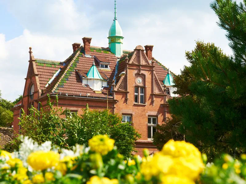 Морские курорты и обзорная по Калининграду одним днём — фото 2, Калининград | Покатаем