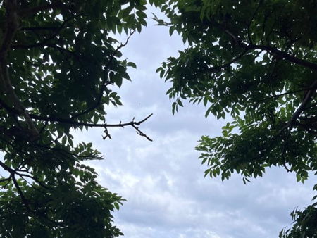 Грязевой вулкан