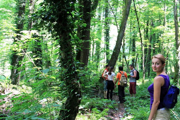 Виды Лагодехский заповедник