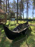 Экскурсия "Куршская коса в полном объёме в мини-группе " - фото отзыва 4