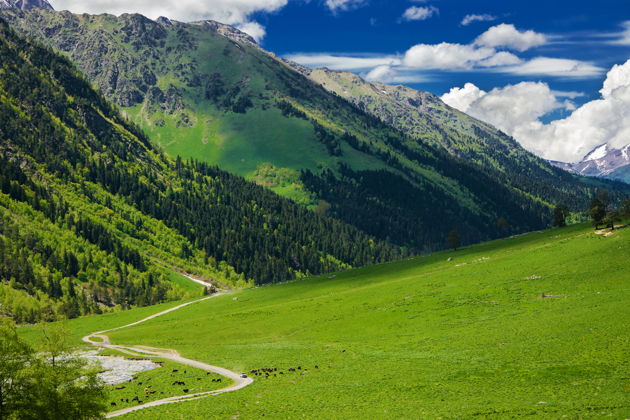 Фото к экскурсии Трансфер-экскурсия из Минеральных вод в Архыз