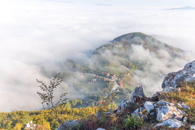 Главное изображение экскурсии - Подъем на гору Тара и море позитива