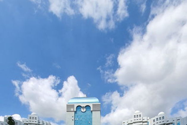 Виды Топовые достопримечательности Чечни за один день