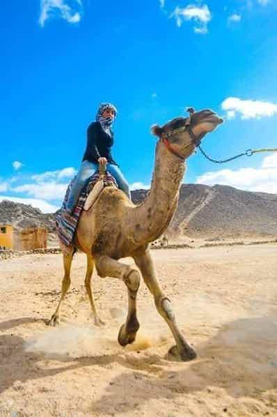Индивидуальная поездка-сафари по пустыне на 3 часа - фото 6