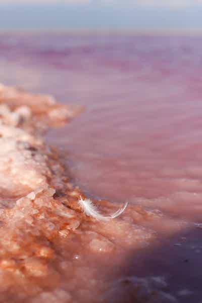 Фототур на розовое озеро Сасык-Сиваш - фото 4
