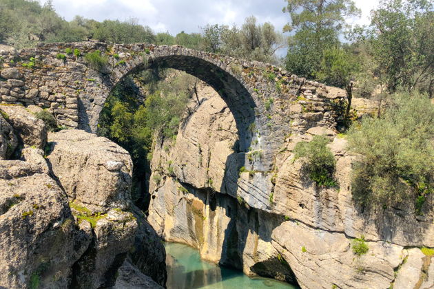 Виды Рафтинг , Багги или Квад-Сафари и Зиплайн