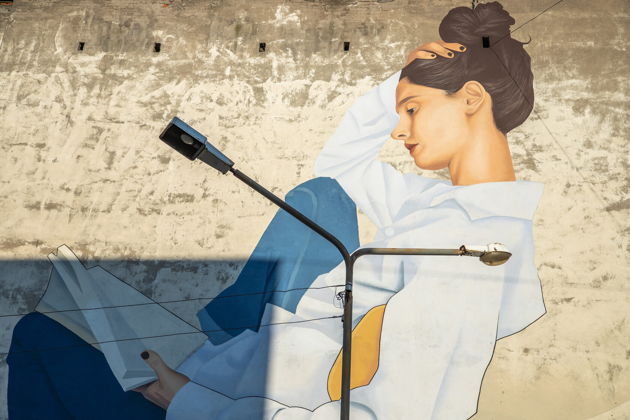 Виды Мурманские муралы