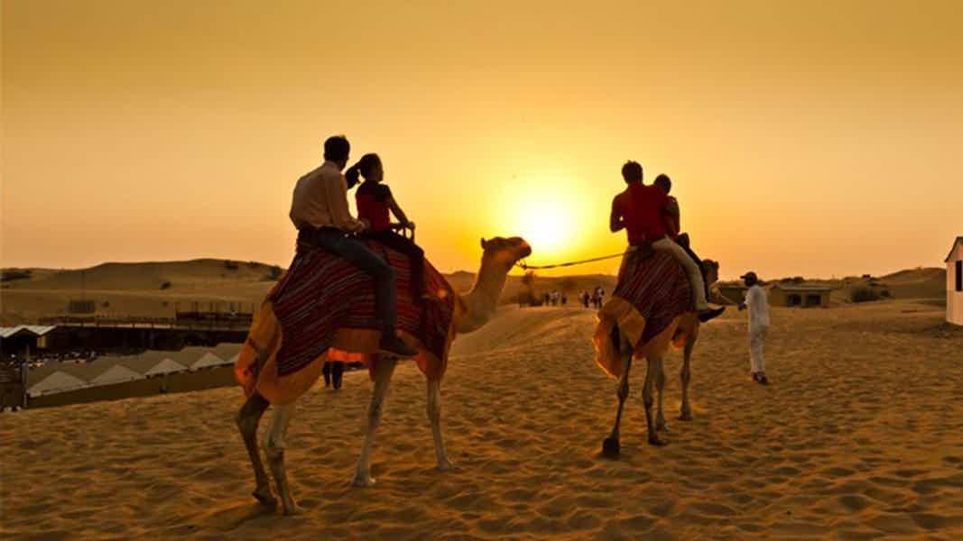 VIP сафари на верблюдах к Синайским горам - фото 1
