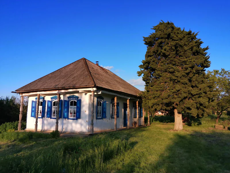 Из Краснодара в Азовскую к казакам — фото 3, Краснодар | Покатаем