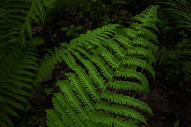 Виды Скрытые сокровища Южного Дагестана: водопады Келе и каньон Мерки