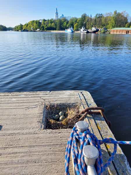 Валаам: путешествие на катере к сердцу Ладоги с краеведом - фото 2