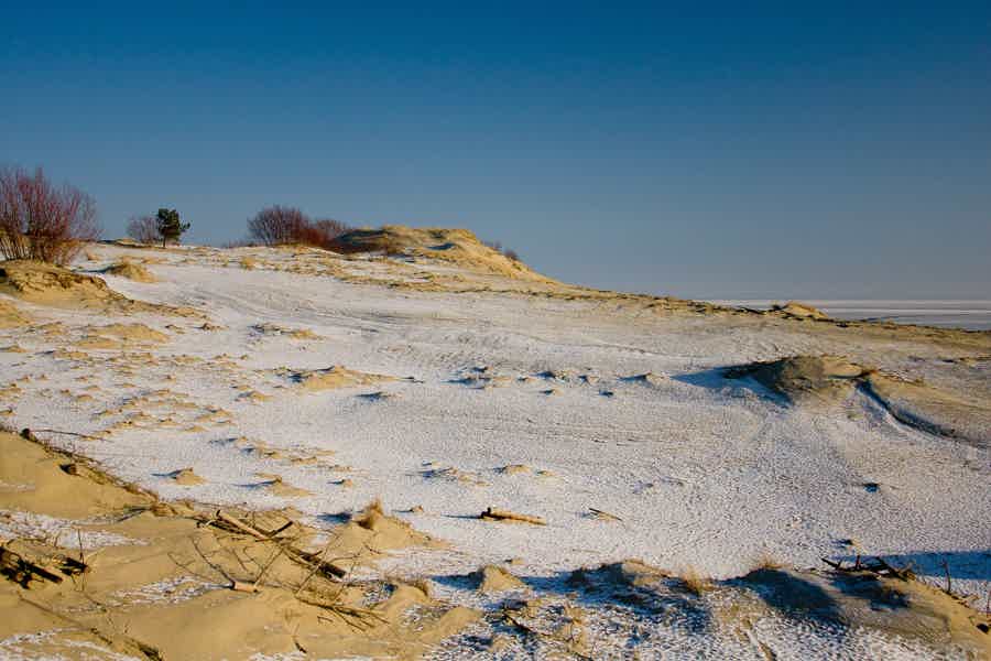 Песни янтарных дюн: история Куршской косы - фото 2