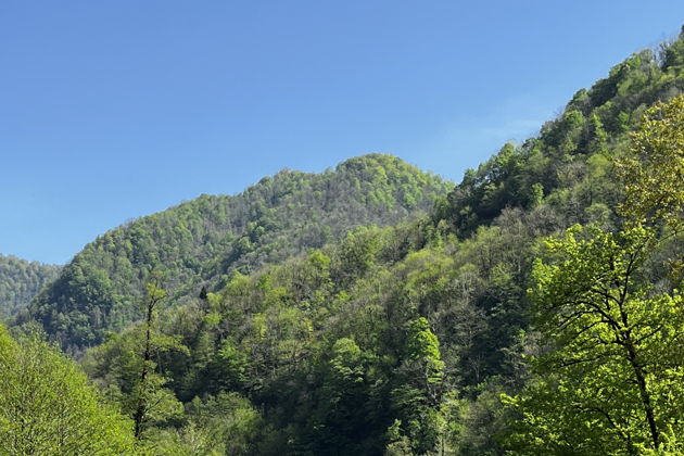 Виды В гармонии с природой: Национальный парк Мачахела 