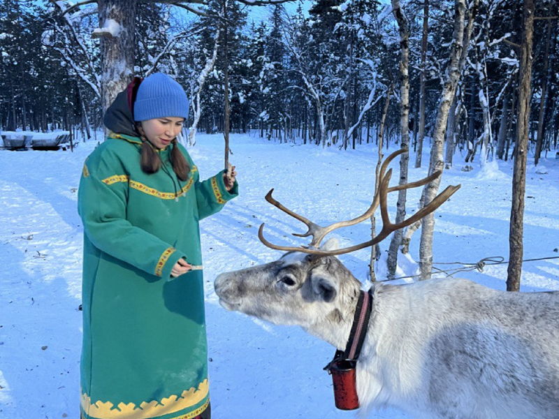 В гости к Саами - деревня Самь-Сыйт - экскурсия в Мурманск, Россия
