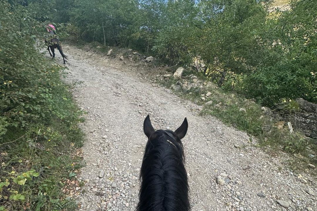 Конная прогулка недалеко от Кисловодска  — фото 2