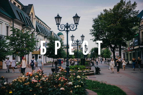 2 — дневный тур: Брест и Беловежская пуща