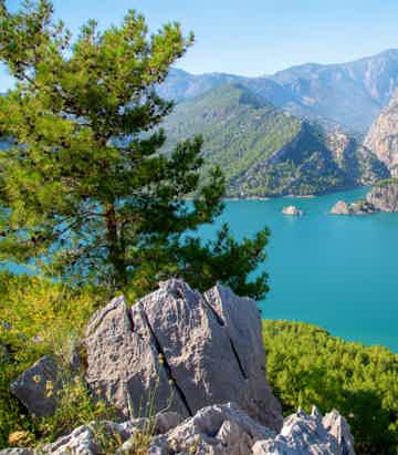 Впечатлиться панорамами и пением птиц