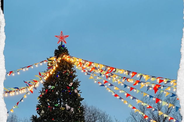 Виды Новогодний Петербург: путешествие в сказку + подарки!