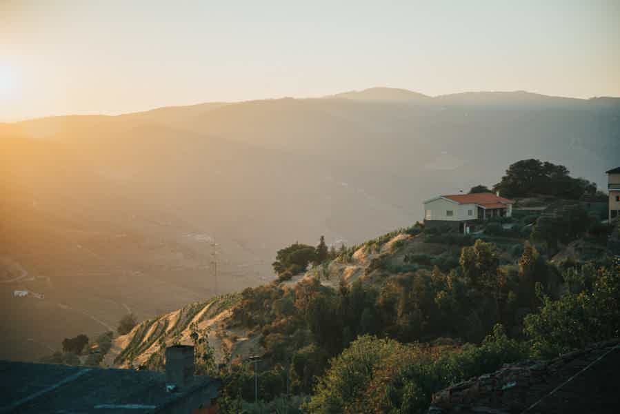 From Porto: Douro Valley Viewpoints and Wineries Day Trip - photo 3