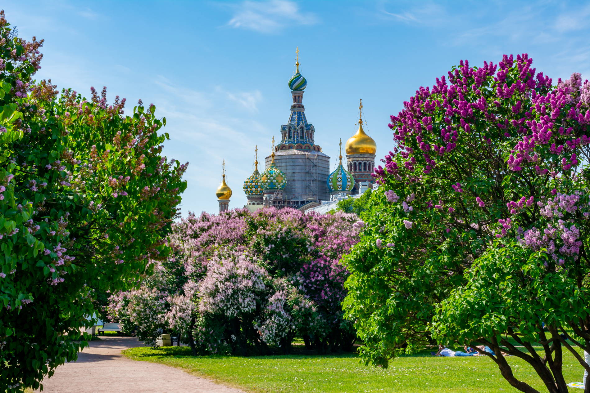Прогулка по городским садам Петербурга