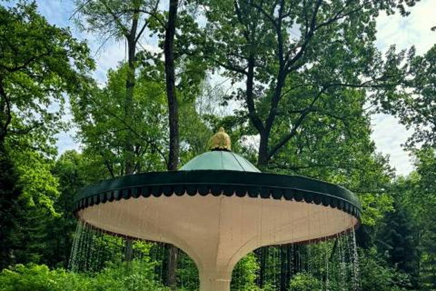 Виды Величие Петергофа: откройте для себя царскую резиденцию — билеты включены