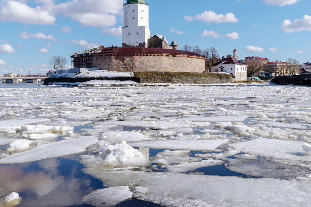 Автобусная экскурсия из Санкт-Петербурга в Выборг — фото 8