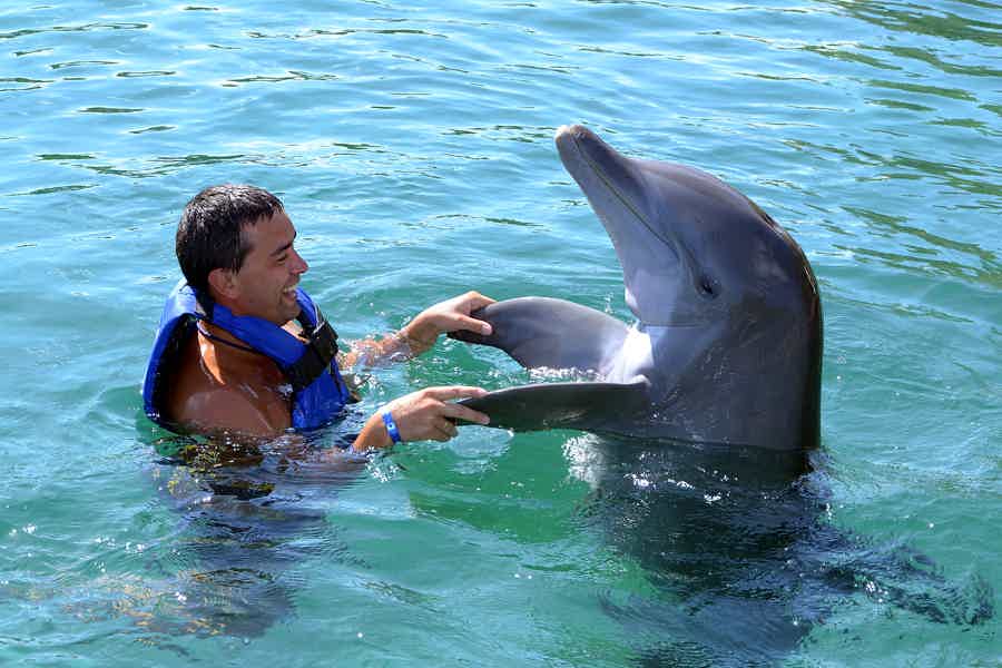 Swimming with dolphins in Antalya - photo 1