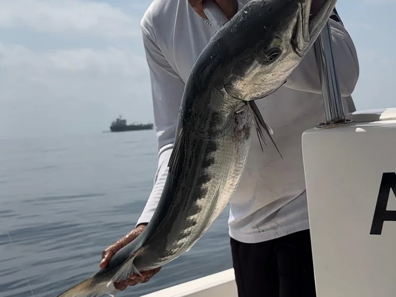 Fishing in Fujairah: Tuna, Mahi-Mahi — photo 4, Dubai | Pokataem